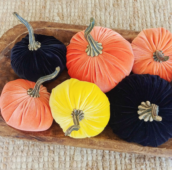Small Velvet Pumpkin - Black
