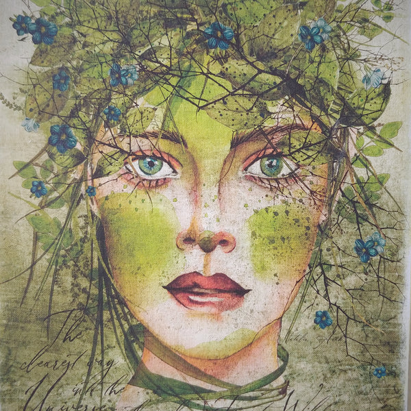 Forest Wilderness Canvas