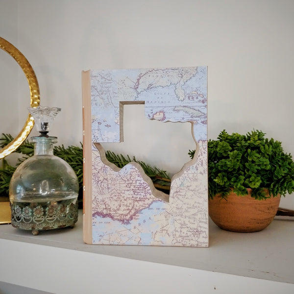 Texas Cutout Book