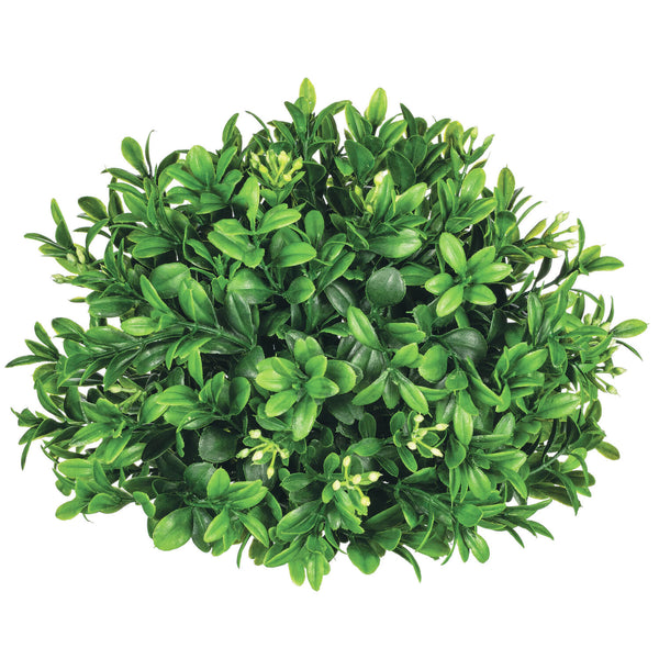 Boxwood Half Sphere