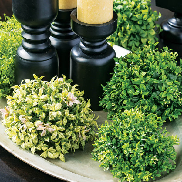 Boxwood Half Sphere