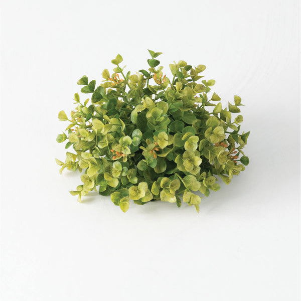 New England Boxwood Half Sphere
