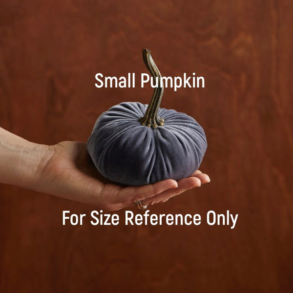 Small Velvet Pumpkin - Sage