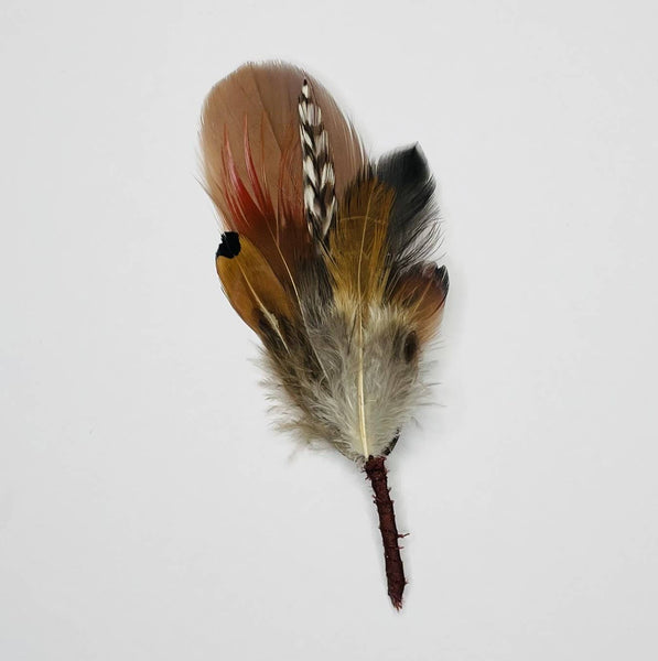 Feather Hat Pin -  Why