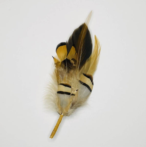 Feather Hat Pin - Mocha