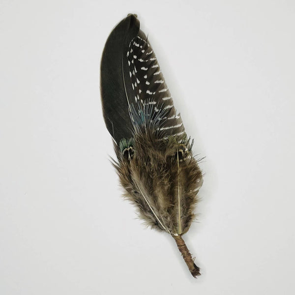 Feather Hat Pin - Coastal