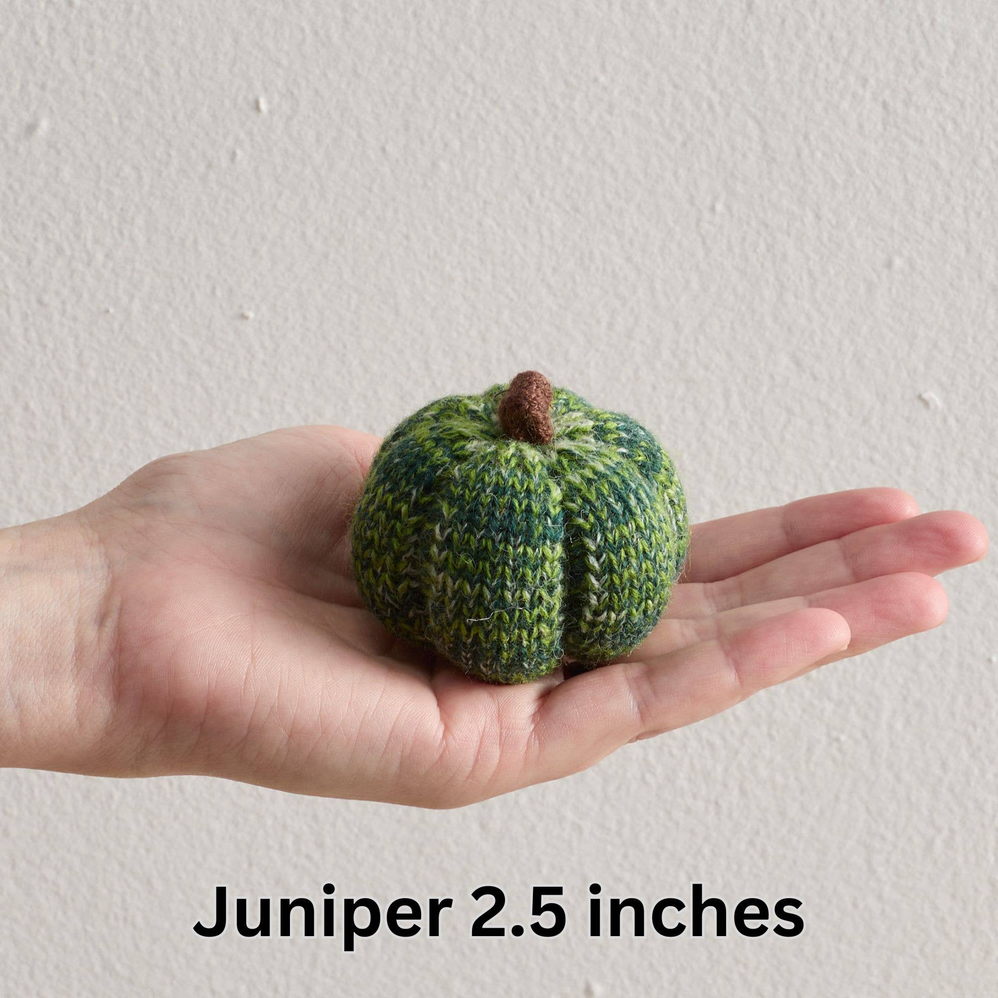 Cozy Knit Pumpkins - Juniper (S)