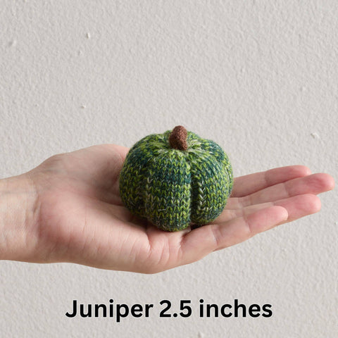 Cozy Knit Pumpkins - Juniper (S)