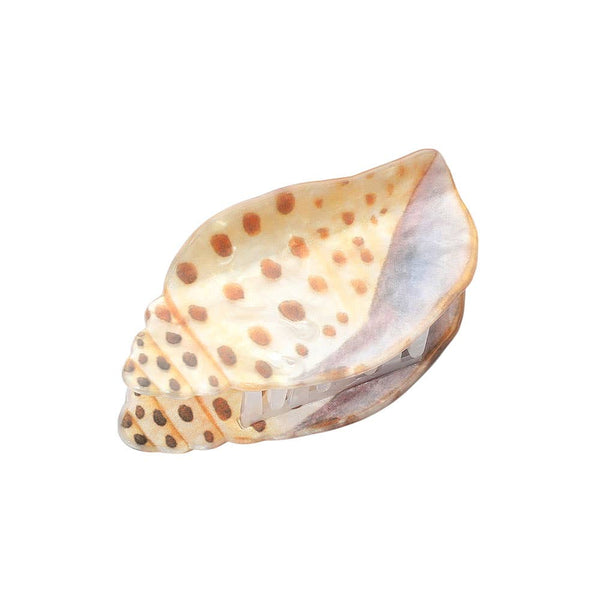 Spotted Miter Shell Hair Claw Clip