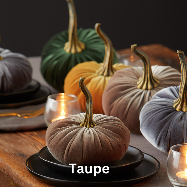 Small Velvet Pumpkin - Taupe