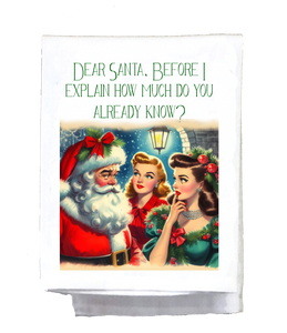 Christmas Dear Santa Before I Explain Kitchen Towel