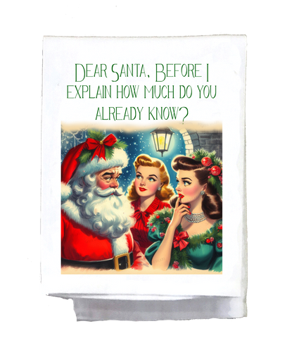 Christmas Dear Santa Before I Explain Kitchen Towel