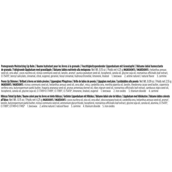 Burt's Bees Holiday Mistletoe Kiss Pink Gift Set - Pack of 3