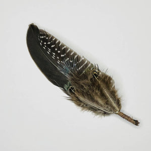 Feather Hat Pin - Coastal