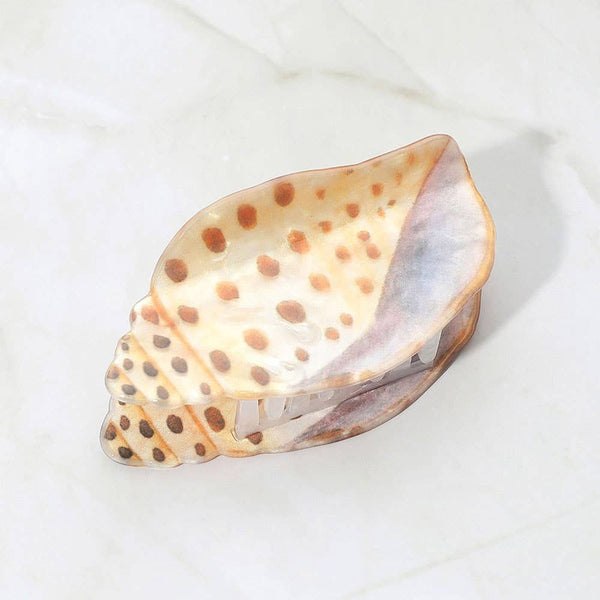 Spotted Miter Shell Hair Claw Clip