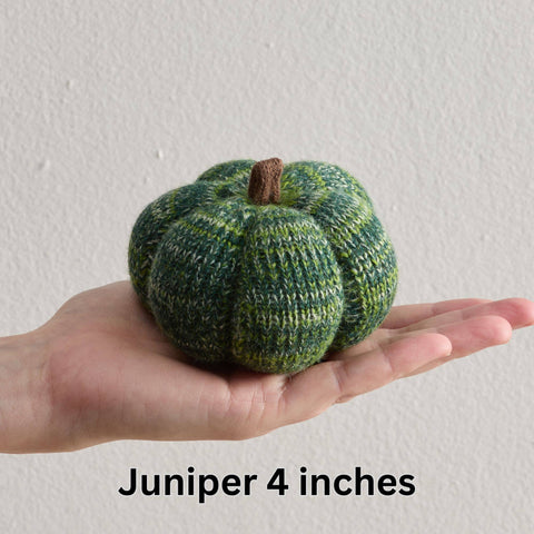 Cozy Knit Pumpkins - Juniper (L)