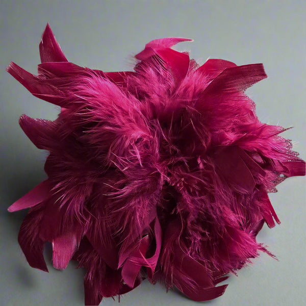 Feather Brooch