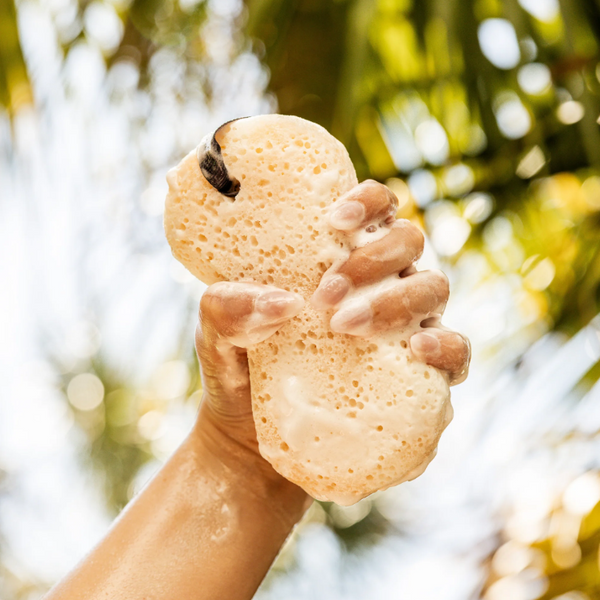 Sweet Grace Body Wash Sponge