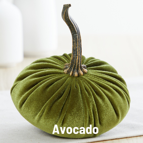 Small Velvet Pumpkin - Avocado