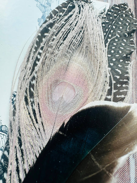 Mixed Feather Hat Pin - Set #13