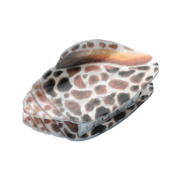 Miter Shell Hair Claw Clip