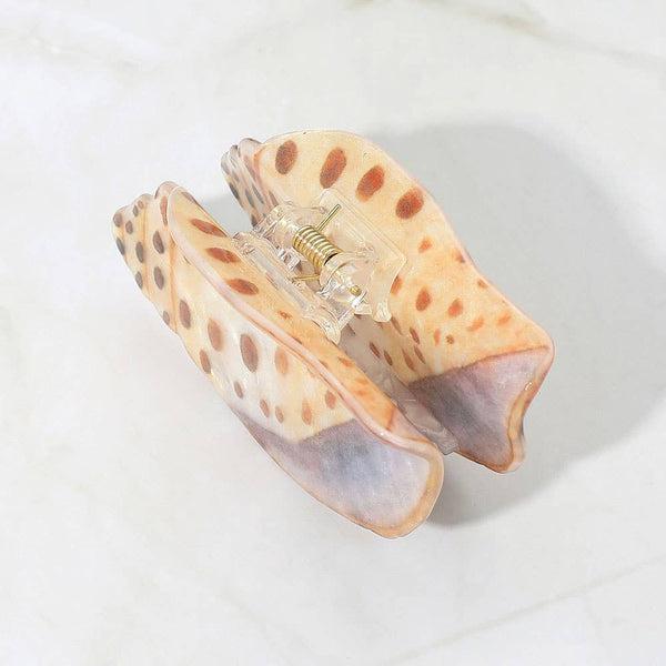Spotted Miter Shell Hair Claw Clip