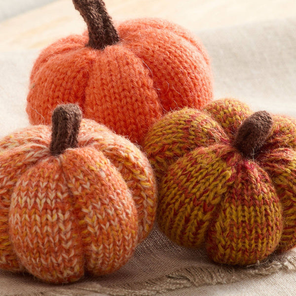 Cozy Knit Pumpkins - Juniper (S)