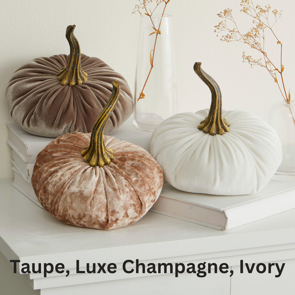 Small Velvet Pumpkin - Taupe