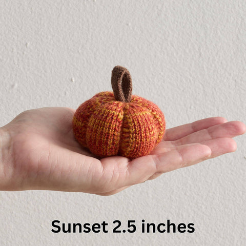 Cozy Knit Pumpkins - Sunset (S)