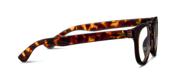 Olympia Readers - Coffee Tortoise
