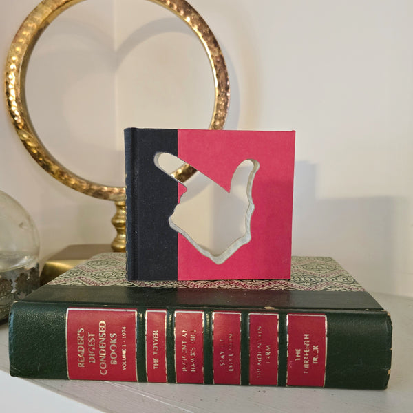 Mini Cutout Book - Texas Tech