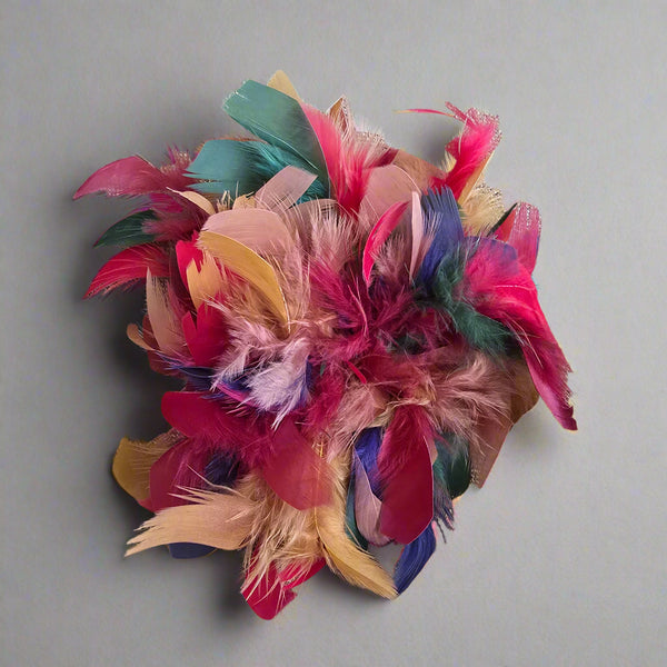 Feather Brooch