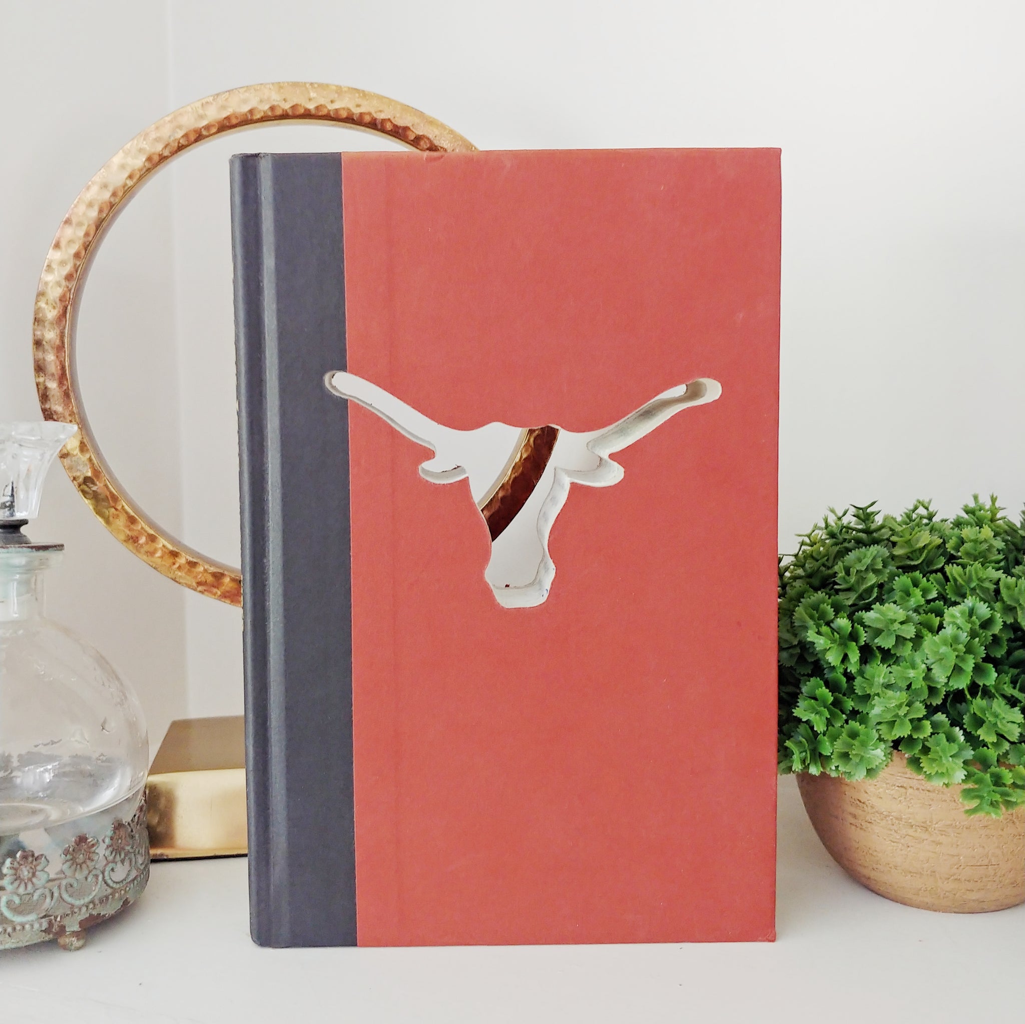 Longhorn Cutout Book