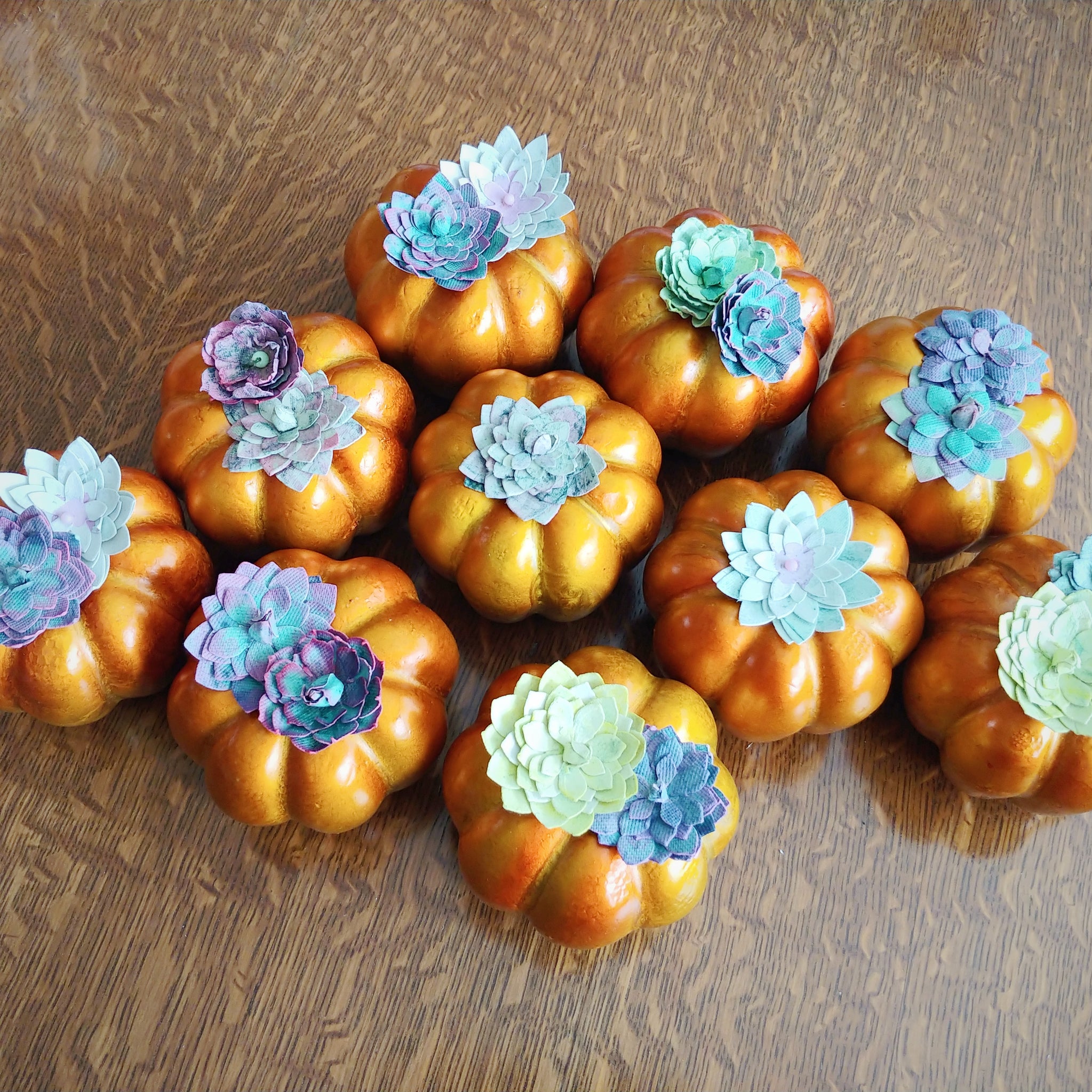 Succulent Pumpkins