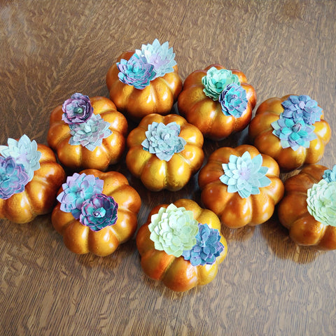Succulent Pumpkins
