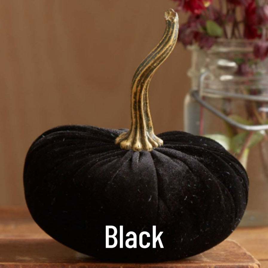 Small Velvet Pumpkin - Black