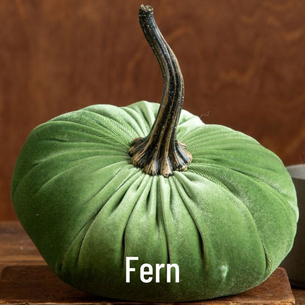 Large Velvet Pumpkin - Fern