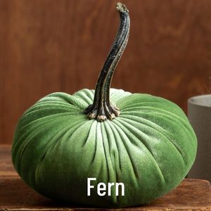 Small Velvet Pumpkin - Fern