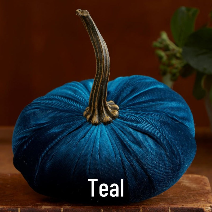 Small Velvet Pumpkin - Teal