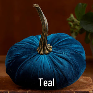 Small Velvet Pumpkin - Teal