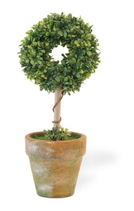 Forever Green Potted Circle Topiary